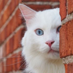 Meet your Posher, Janet